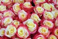 Close-up of bright bunch of freshly cut beautiful roses