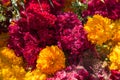 Close up of a bright bundle of pink celosia and orange cempasuchil mexican flowers