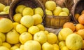 Close up of bright colored grapefruit and oranges in wooden buckets