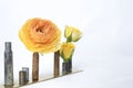 Close Up Bright Orange Ranunculus in Rusted Bullet Shell Vase on Royalty Free Stock Photo