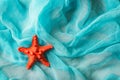 Dried red sea starfish on cian cloth background