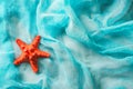 Dried red sea starfish on cian cloth background