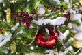 Close-up of a bright red and gold ball hanging among the green, snow-covered branches of a Christmas tree. Holiday decorations. On Royalty Free Stock Photo