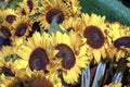 Close up of bright sunflowers to sell