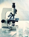 Brightfield microscope with stacked Petri dishes arranged on a lab bench Royalty Free Stock Photo