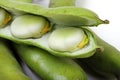Close up of broad beans