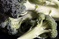 Close Up of a broccoli Royalty Free Stock Photo