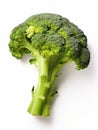 Close-up of broccoli roots on a white surface, AI-generated. Royalty Free Stock Photo