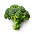 High Resolution Velvia Style Image Of Broccoli On White Background