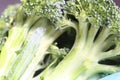 Close up of brocolli Royalty Free Stock Photo
