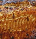 Close-up Broiled Teriyaki Atlantic Salmon Fillet