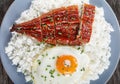 Close-up of broiled unagi with rice and egg