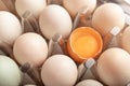 Close up broken eggs of chicken in plastic box Royalty Free Stock Photo