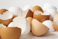 Broken empty eggshells on white background