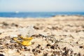 Close up of a broken plastic bottle on the beach - concept of maritime pollution and climate change by human responsibility -
