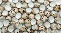 Close-up of broken quail egg shells scattered on a light surface, perfect for culinary or natural themes Royalty Free Stock Photo