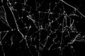 Close up of the broken screen glass Royalty Free Stock Photo