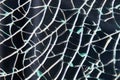 Close-up on broken tempered glass with texture Royalty Free Stock Photo