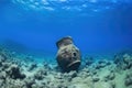 close up of a bronze ancient amphora on an ocean floor