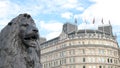 Close up of a bronze lion at nelson`s column in trafalgar square, london Royalty Free Stock Photo