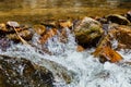 Close-up Brook in Green Forest,Mountain stream.