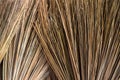 Close up, Broom, Thai traditional hand craft mad by coconut branch, show detail texture of the coconut branch. I
