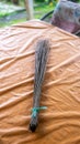 Close up of broomstick on a table. Coconut leaf broomstick rough duster sweeper