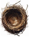 Close Up Brown Bird Nest Constructed with Twigs and Branches on White Background in Bright Studio Lighting Royalty Free Stock Photo