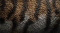 Close-up of Brown, Black, and Gray Animal Fur Royalty Free Stock Photo