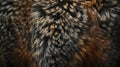 Close-up of brown, black, and gray fur with a textured pattern Royalty Free Stock Photo