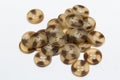 Close-up of the brown button isolate on white Royalty Free Stock Photo