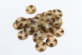 Close-up of the brown button isolate on white Royalty Free Stock Photo