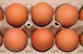 Close-up of brown chicken eggs in cardboard eco-friendly packaging Royalty Free Stock Photo