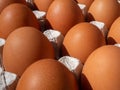 close-up of brown chicken eggs in egg box Royalty Free Stock Photo