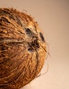 Close Up of a Brown Coconut Shell with a Rough Texture on Neutral Background Royalty Free Stock Photo