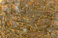 Close-Up of Brown-colored textured MPLR lubricating molybdenum disulfide grease. Royalty Free Stock Photo