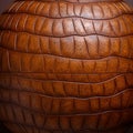 Brown Crocodile Skin Texture Pattern Background, Leather Alligator Surface Design, Reptile Hide Royalty Free Stock Photo