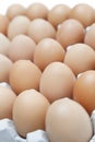 Close-up of brown eggs arranged in carton Royalty Free Stock Photo