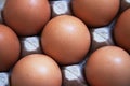 Close up of Brown eggs in carton