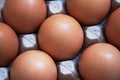 Close up of Brown eggs in carton Royalty Free Stock Photo