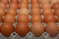 Close up on brown eggs in egg box Royalty Free Stock Photo