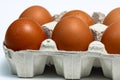 Close up of brown eggs in an egg box Royalty Free Stock Photo