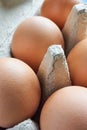 Close-up of brown eggs in an egg carton Royalty Free Stock Photo