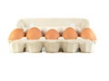 Close up of brown eggs in a egg tray. Chicken eggs. Fresh eggs on a white background Royalty Free Stock Photo