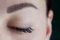 Close-up of brown eye with beautiful long eyelashes, black eyeliner, ideal skin, eyebrow of young woman looking down. Royalty Free Stock Photo