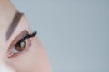 Close-up of brown eye with long false eyelashes, ideal skin, flawless eyebrow of unrecognizable young woman on grey. Royalty Free Stock Photo