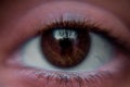 Close-up brown eye of a young woman Royalty Free Stock Photo