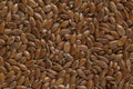 Close up of brown flaxseeds