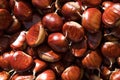 Close up of brown fresh chestnuts in a basket during autumn harvest, whole fresh and seasonal food for a healthy diet Royalty Free Stock Photo