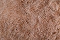 Close-up brown fur texture background, top view Royalty Free Stock Photo